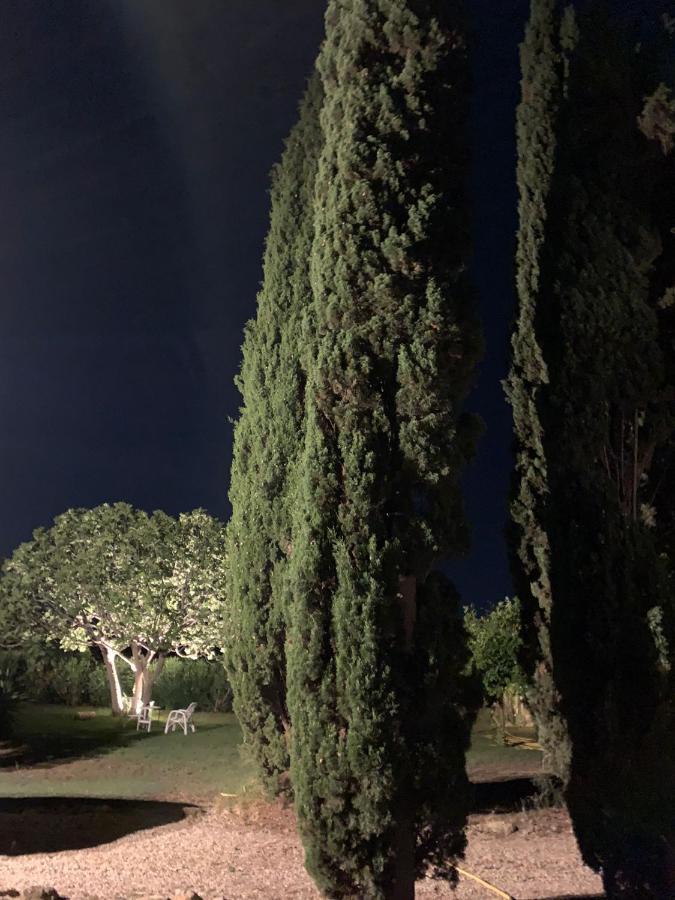 Le Cerquete Casale Degli Ulivi Maccareseヴィラ エクステリア 写真